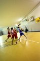 Basket 443078